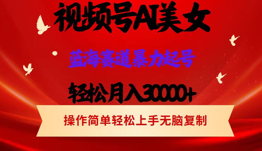 （12178期）视频号AI美女跳舞，轻松月入30000+，蓝海赛道，流量池巨大，起号猛，当…-巴七创客网