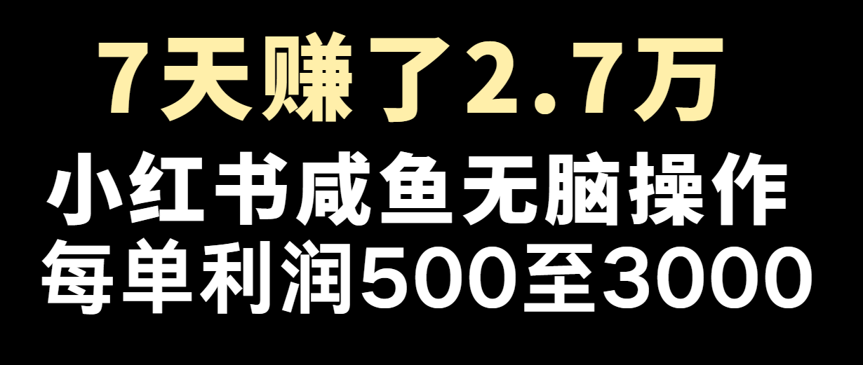 七天赚了2.7万！每单利润最少500+，轻松月入5万+小白有手就行-巴七创客网