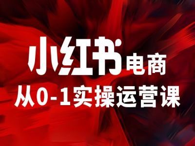 小红书电商从0-1实操运营课，让你从小白到精英-巴七创客网