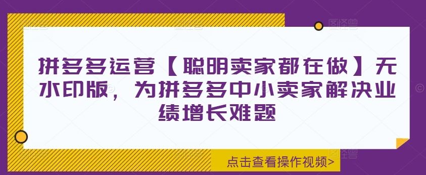 拼多多运营【聪明卖家都在做】无水印版，为拼多多中小卖家解决业绩增长难题-巴七创客网
