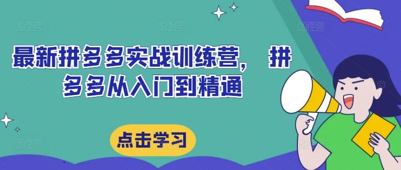 最新拼多多实战训练营， 拼多多从入门到精通-巴七创客网