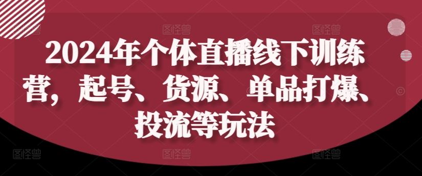 2024年个体直播训练营，起号、货源、单品打爆、投流等玩法-巴七创客网