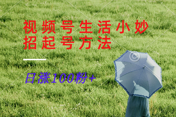 视频号生活小妙招分享赛道， 起号涨粉新方法，日涨100粉-巴七创客网