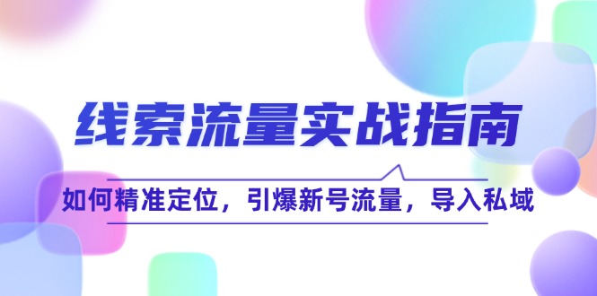 （12382期）线 索 流 量-实战指南：如何精准定位，引爆新号流量，导入私域-巴七创客网