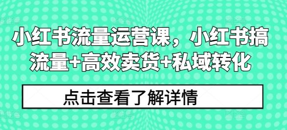 小红书流量运营课，小红书搞流量+高效卖货+私域转化-巴七创客网