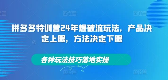 拼多多特训营24年爆破流玩法，产品决定上限，方法决定下限，各种玩法技巧落地实操-巴七创客网
