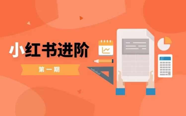 小红书进阶篇，零基础小白实战课，普通人变现的课程-巴七创客网