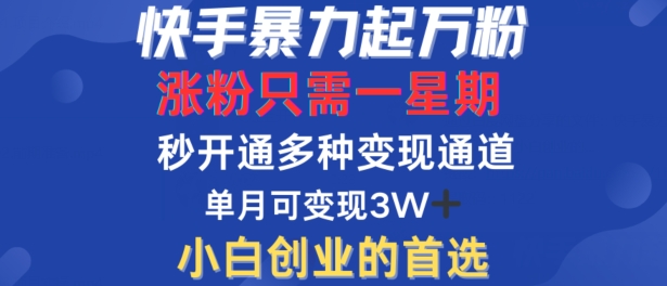 快手暴力起万粉，涨粉只需一星期，多种变现模式，直接秒开万合，单月变现过W【揭秘】-巴七创客网
