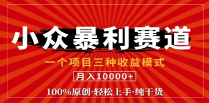 视频号最新爆火赛道，三种可收益模式，0粉新号条条原创条条热门 日入1000+-巴七创客网