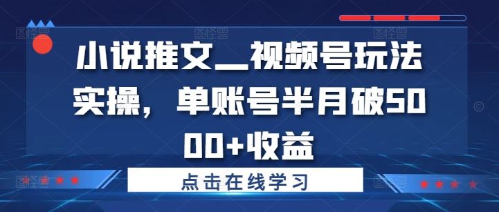 小说推文—视频号玩法实操，单账号半月破5000+收益-巴七创客网