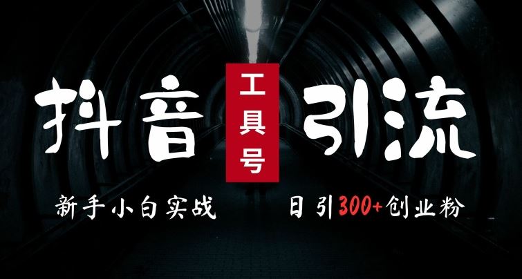 2024最新抖音工具号引流玩法，高效日引300+创业粉，当天变现5k，小白也可成为实战高手-巴七创客网
