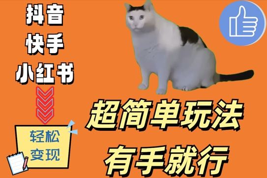 超简单玩法，有手就行，靠猫咪视频日入500+【揭秘】-巴七创客网