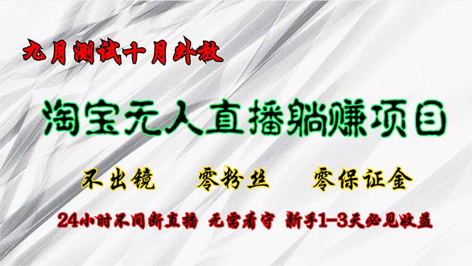 （12862期）淘宝无人直播最新玩法，九月测试十月外放，不出镜零粉丝零保证金，24小…-巴七创客网