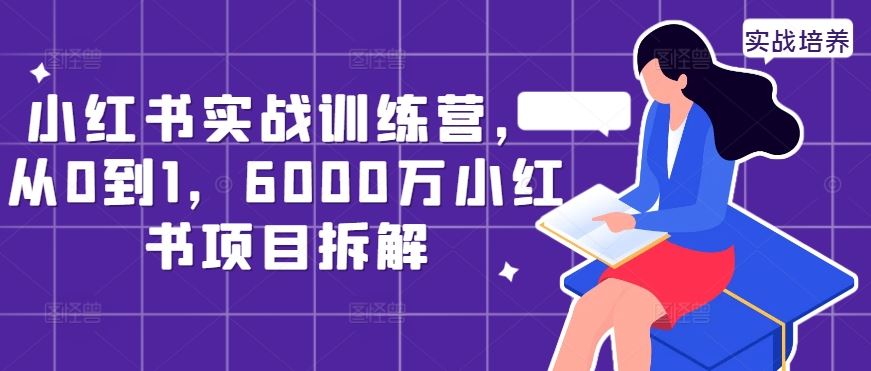 小红书实战训练营，从0到1，6000万小红书项目拆解-巴七创客网