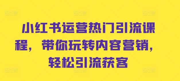 小红书运营热门引流课程，带你玩转内容营销，轻松引流获客-巴七创客网