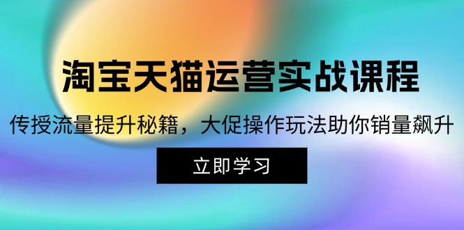 （12959期）淘宝&天猫运营实战课程，传授流量提升秘籍，大促操作玩法助你销量飙升-巴七创客网