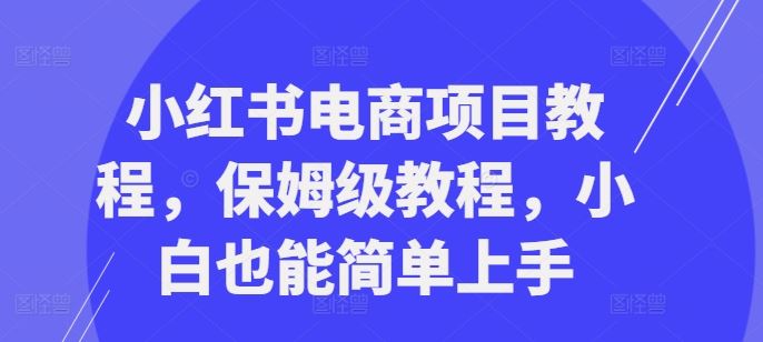 小红书电商项目教程，保姆级教程，小白也能简单上手-巴七创客网