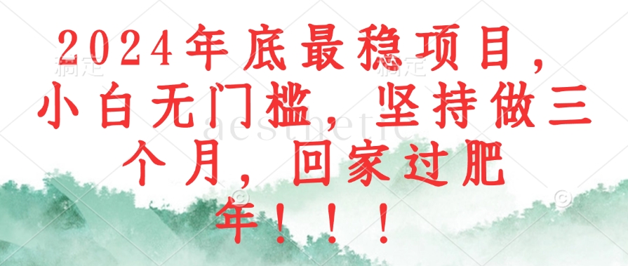 （12970期）2024年底最稳项目，小白无门槛，坚持做三个月，回家过肥年！！！-巴七创客网