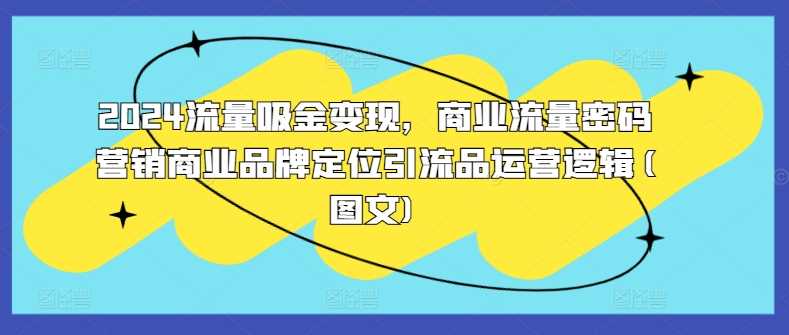2024流量吸金变现，商业流量密码营销商业品牌定位引流品运营逻辑(图文)-巴七创客网