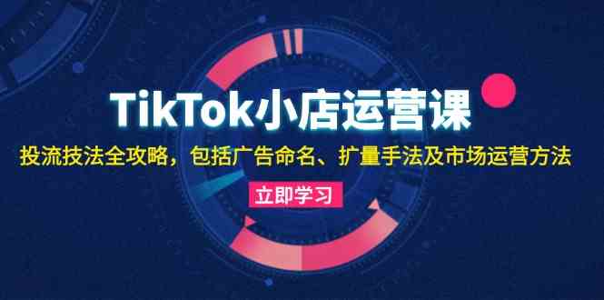 TikTok小店运营课：投流技法全攻略，包括广告命名 扩量手法及市场运营方法-巴七创客网