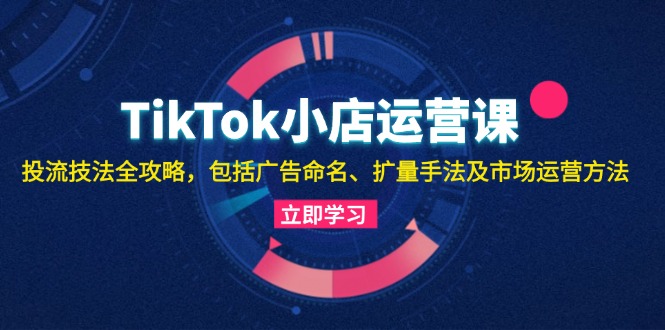 （13063期）TikTok小店运营课：投流技法全攻略，包括广告命名 扩量手法及市场运营方法-巴七创客网