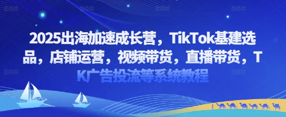 2025出海加速成长营，TikTok基建选品，店铺运营，视频带货，直播带货，TK广告投流等系统教程-巴七创客网