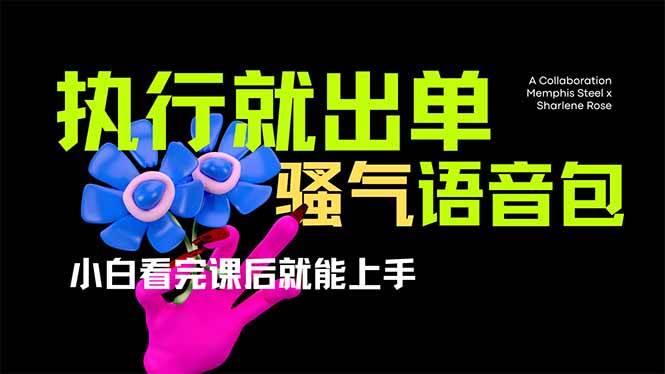 （14170期）爆火全网的开车导航骚气语音包,只要执行就出单，小白看完课程就能实操…-巴七创客网