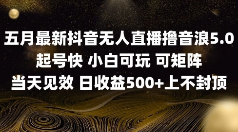 2025五月最新无人直播撸音浪单日产出5张+实操教程【揭秘】-巴七创客网