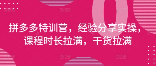 拼多多特训营，经验分享实操，课程时长拉满，干货拉满(更新25年4月)-巴七创客网