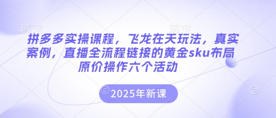 拼多多实操课程，飞龙在天玩法，真实案例，直播全流程链接的黄金sku布局原价操作六个活动-巴七创客网