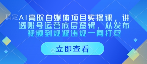 AI高阶自媒体项目实操课，讲透账号运营底层逻辑，从发布视频到规避违规一网打尽-巴七创客网