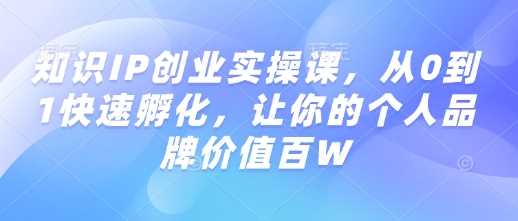 知识IP创业实操课，从0到1快速孵化，让你的个人品牌价值百W-巴七创客网