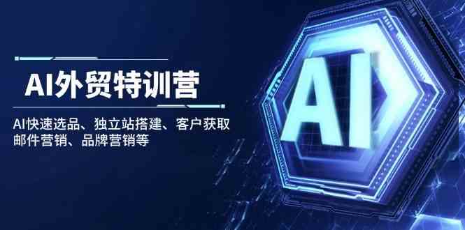 AI外贸特训营：AI快速选品、独立站搭建、客户获取、邮件营销、品牌营销等-巴七创客网