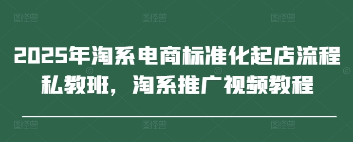 2025年淘系电商标准化起店流程私教班，淘系推广视频教程-巴七创客网