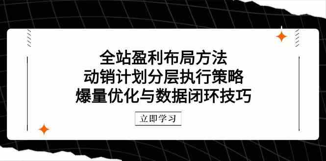 全站盈利布局方法：动销计划分层执行策略，爆量优化与数据闭环技巧-巴七创客网