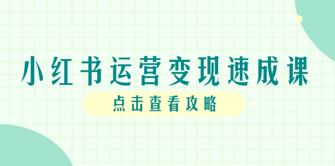 小红书运营变现速成课，账号搭建到暴力起号，个人IP全流程指南-巴七创客网