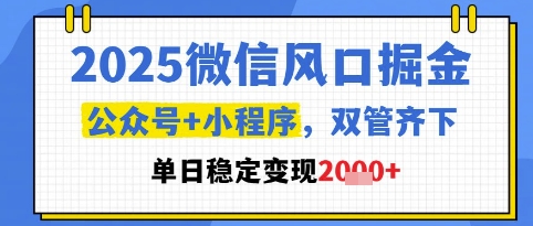 2025微信风口掘金，公众号+小程序双管齐下，单日稳定变现1k+【揭秘】-巴七创客网