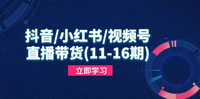 （14611期）抖音/小红书/视频号/直播带货(11-16期)，快速掌握平台规则，打造爆款内容-巴七创客网
