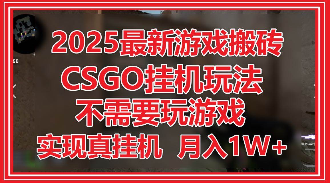 （14743期）2025最新游戏搬砖，CSGO挂机，不需要玩游戏，实现真挂机，月入1W+-巴七创客网