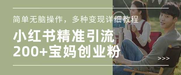 小红书混剪日引200+宝妈创业粉，简单无脑操作，多种变现详细教程-巴七创客网