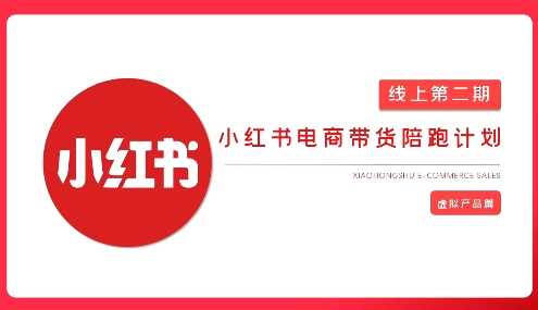 2025小红书虚拟电商实战课，从0到1打造无货源店铺，AI+爆款笔记轻松变现-巴七创客网