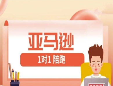 亚马逊1对1陪跑课(FBA/FBM精铺)跨境亚马逊教程-巴七创客网