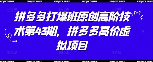 拼多多打爆班原创高阶技术第43期，拼多多高价虚拟项目-巴七创客网