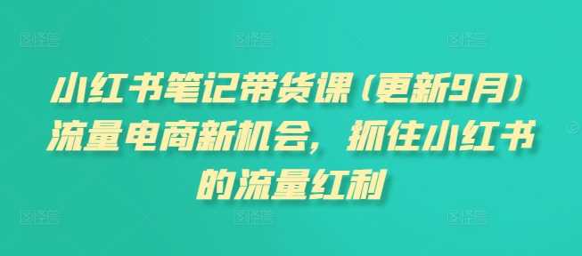 小红书笔记带货课(更新25年3月)流量电商新机会，抓住小红书的流量红利-巴七创客网