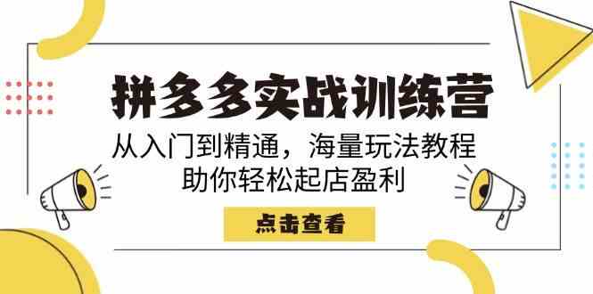 拼多多实战训练营，从入门到精通，海量玩法教程，助你轻松起店盈利-巴七创客网
