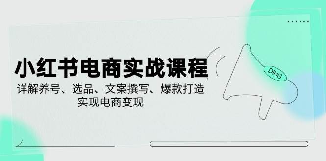 小红书电商实战课程，详解养号、选品、文案撰写、爆款打造，实现电商变现-巴七创客网