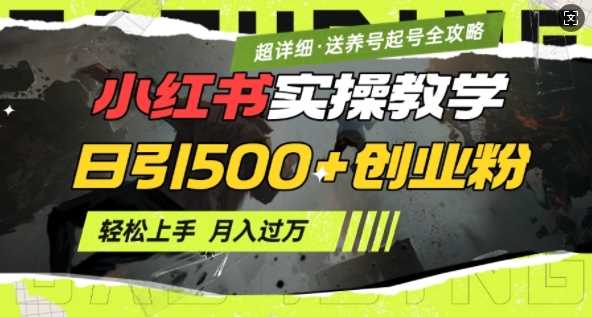 2月小红书最新日引500+创业粉实操教学【超详细】小白轻松上手，月入1W+，附小红书养号起号SOP-巴七创客网