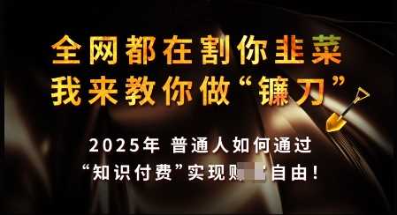 知识付费如何做到月入过W+，2025我来教你做“镰刀”【揭秘】-巴七创客网