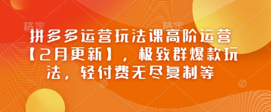 拼多多运营玩法课高阶运营【2月更新】，极致群爆款玩法，轻付费无尽复制等-巴七创客网