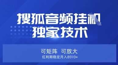 【搜狐音频挂G】独家技术，可矩阵可放大，红利期稳定月入8k【揭秘】-巴七创客网